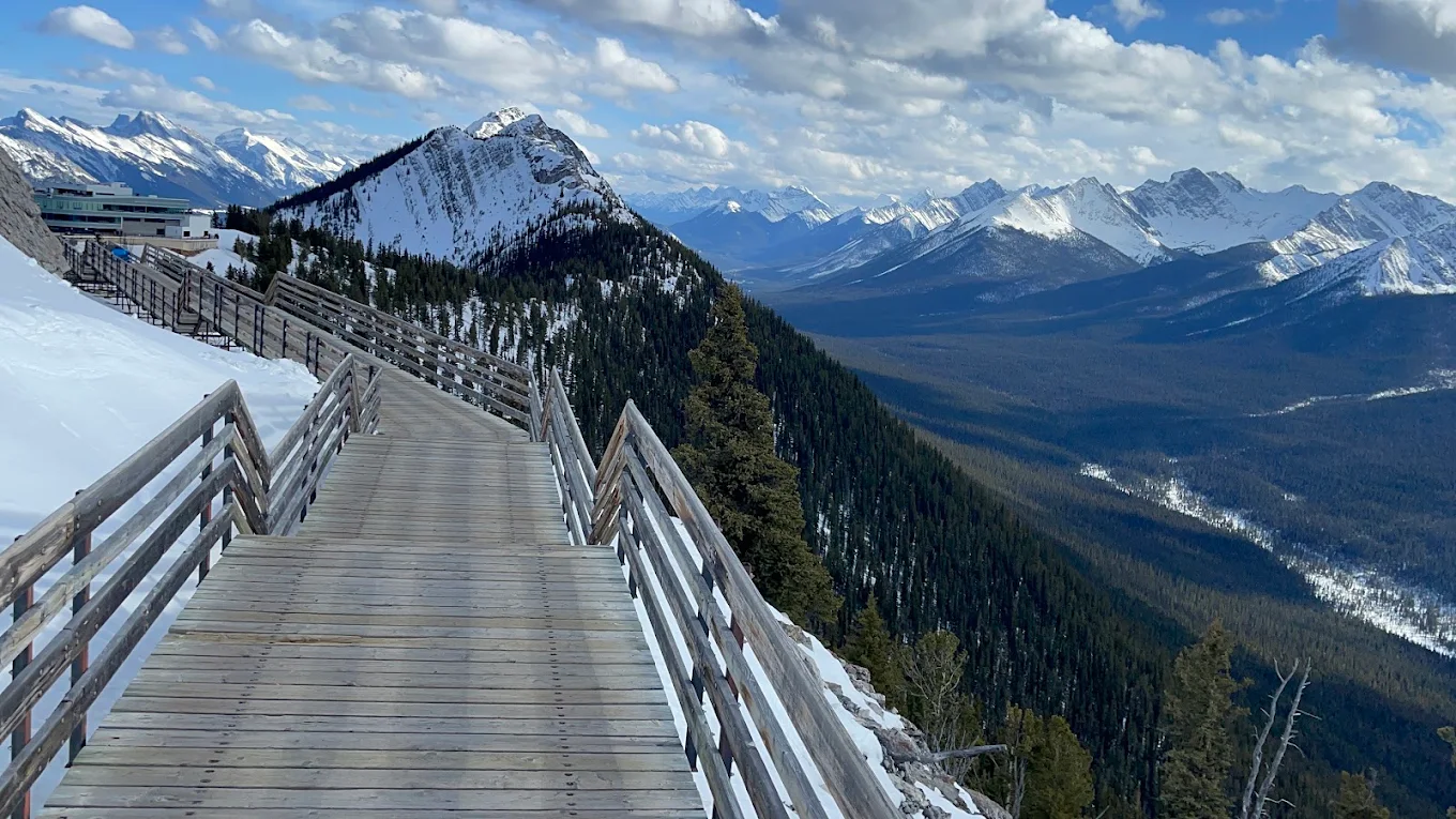 Wooden summit boardwalk running along the Sulphur Mountain ridge in winter above a forested valley
